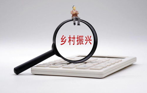 打通金融“最后一公里”，以多元服務賦能鄉村振興